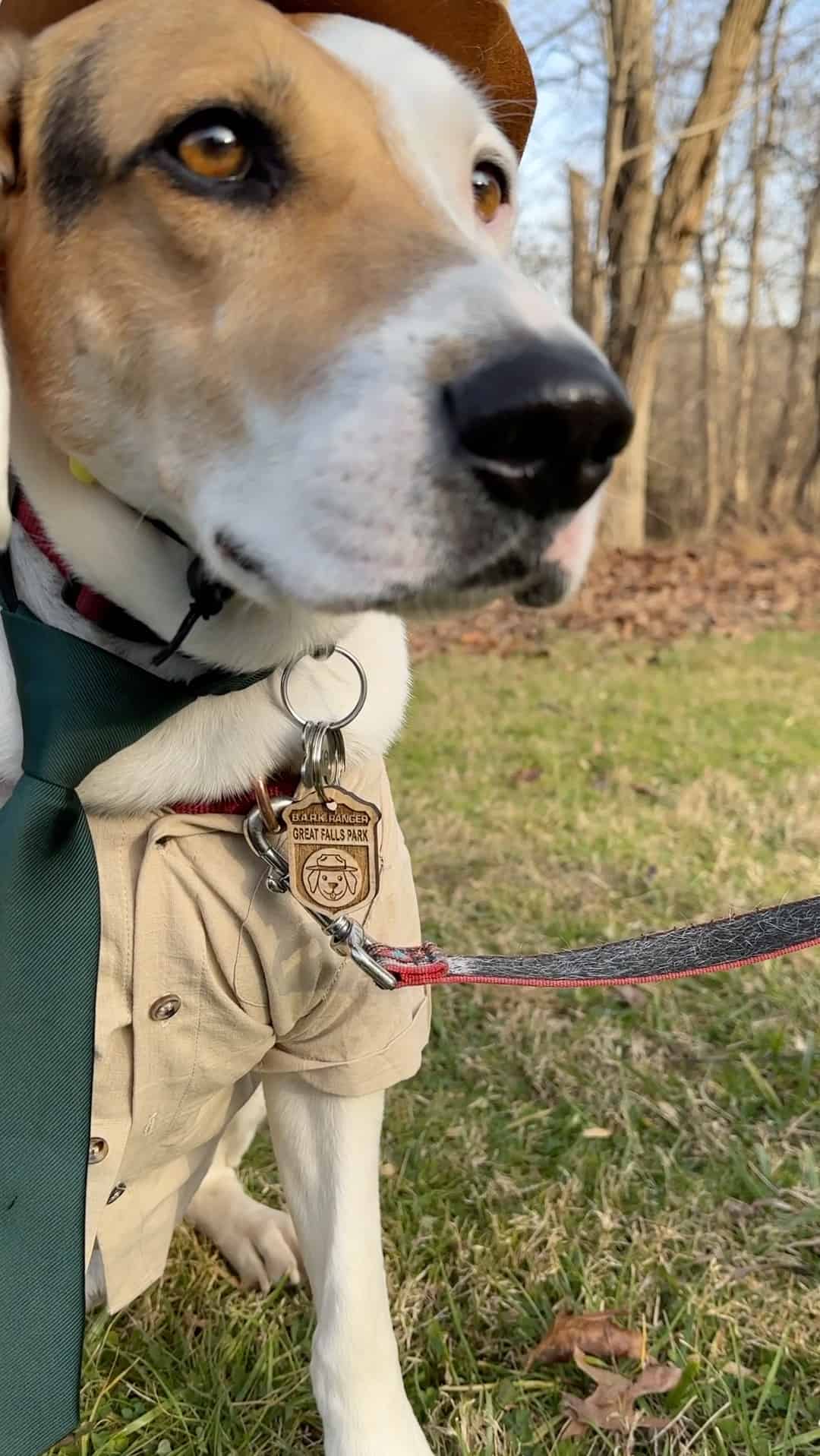 Become a B.A.R.K. Ranger Around DC: All Locations - Not Bored in DC