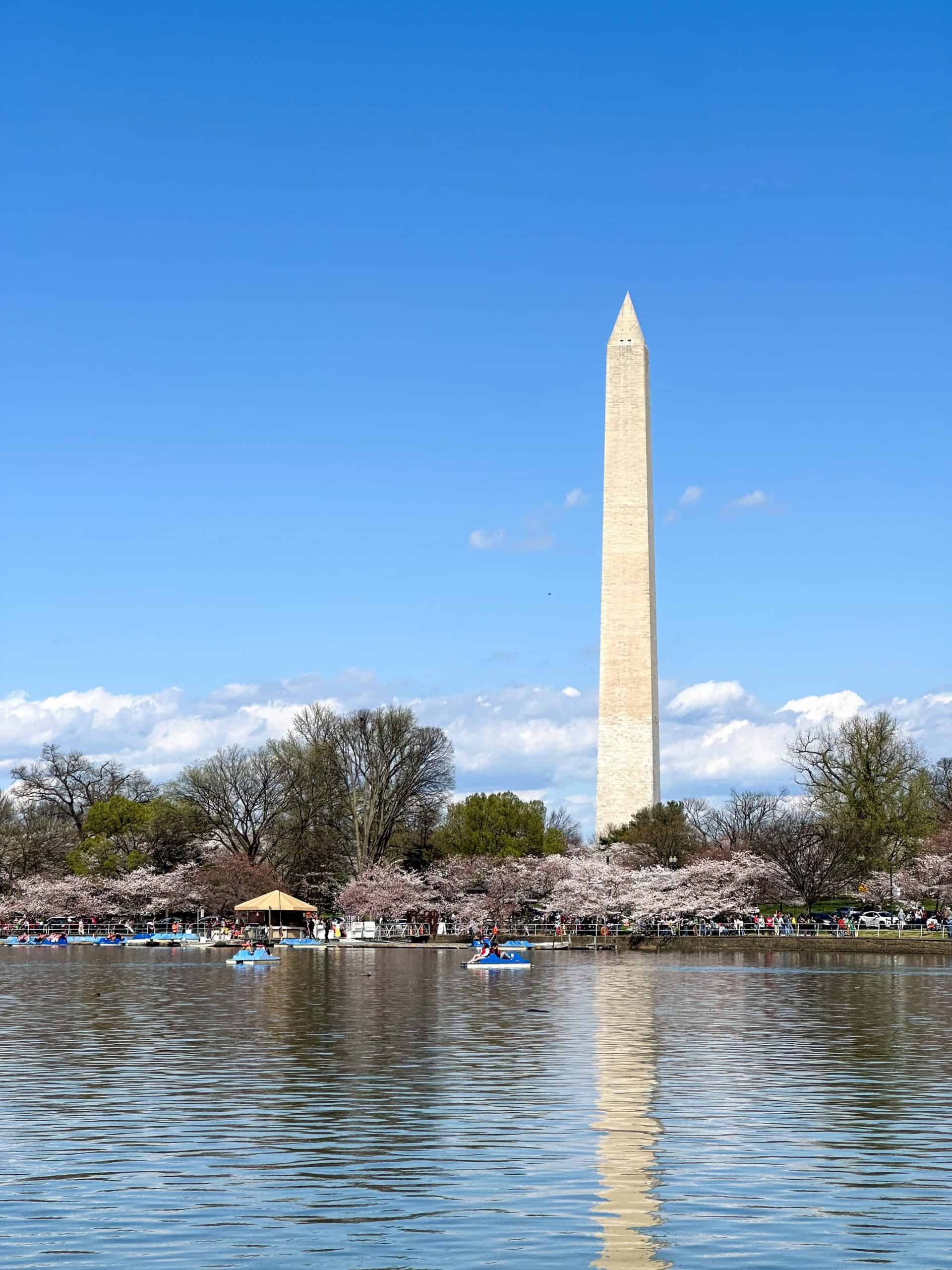 Scenic view of the Washington Monument reflected in the calm water of the Tidal Basin, with cherry blossom trees in full bloom. Small pedal boats can be seen in the water, adding a peaceful, springtime atmosphere to the iconic landmark.