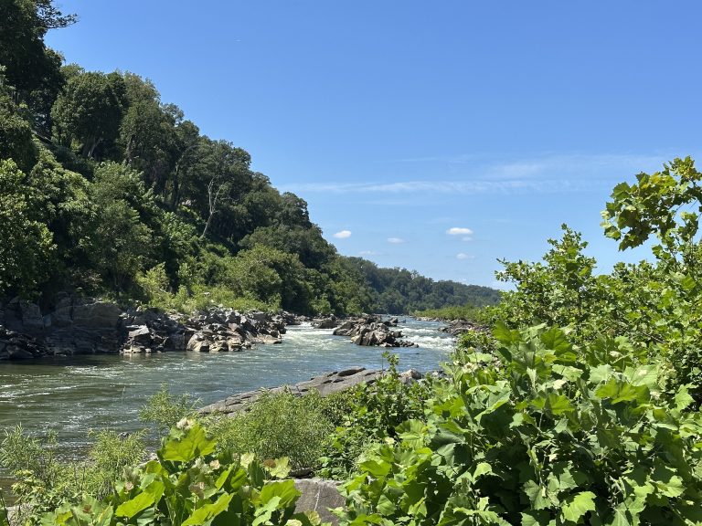 Little Falls: Waterfalls in Washington DC