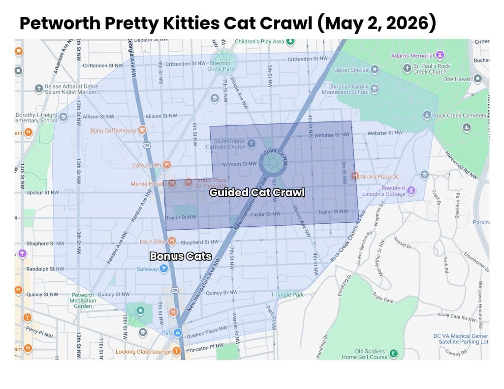 A map titled 'Petworth Pretty Kitties Cat Crawl (May 2, 2026)' showing a neighborhood in Washington, D.C. The map displays the Petworth area in Northwest D.C. and highlights two overlapping zones. The larger, lighter blue shaded rectangle is labeled 'Bonus Cats' and covers a wide area roughly bounded by Allison Street NW to the north, Shepherd Street NW to the south, 13th Street NW to the west, and Illinois Avenue NW to the east. A smaller, darker blue shaded rectangle nested within the larger one is labeled 'Guided Cat Crawl' and centers around Grant Circle NW, roughly between Varnum Street NW and Taylor Street NW, and between Kansas Avenue NW and 3rd Street NW.